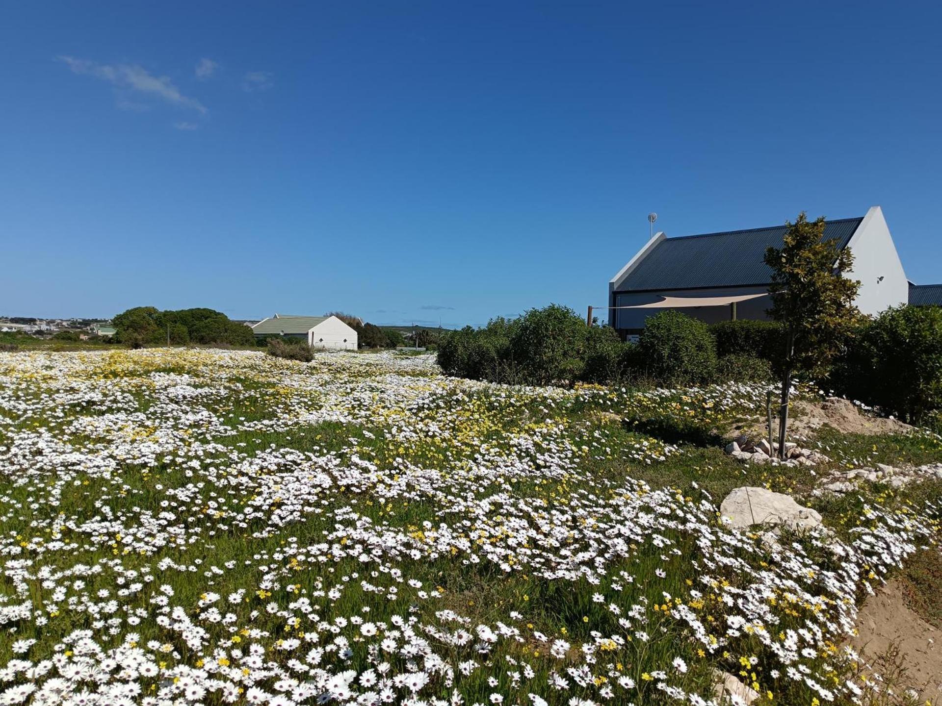 Silver Oaks Airbnb Langebaan Extérieur photo